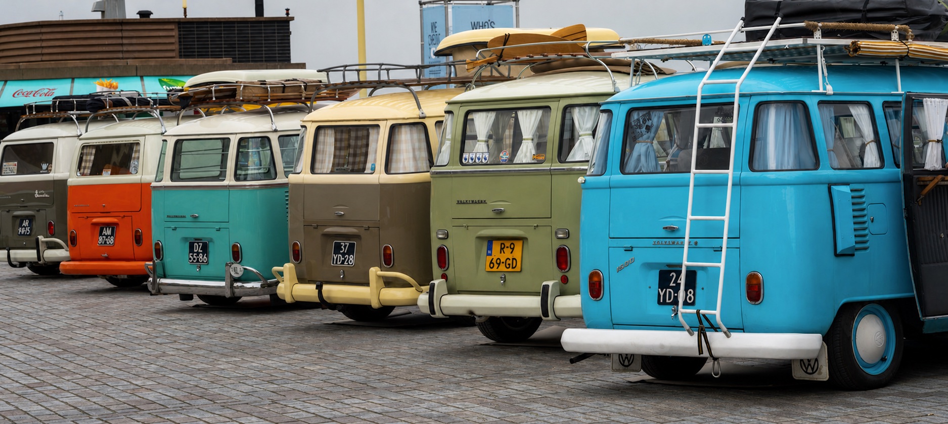 A row of vintage Volkswagen Type 2 buses parked nose-out in warm evening light