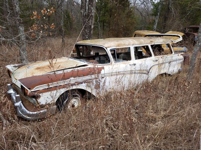 Derelict 1950s station wagon resting among trees and tall grass